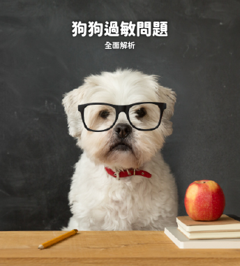 狗狗過敏問題——全面解析